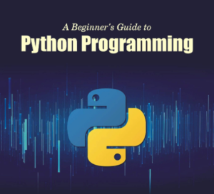 Read more about the article Python 101: A Beginner’s Guide to Programming in Python