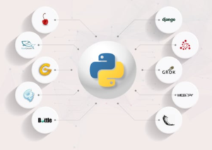 Read more about the article Exploring Web Development Frameworks in Python: FastAPI and Pyramid