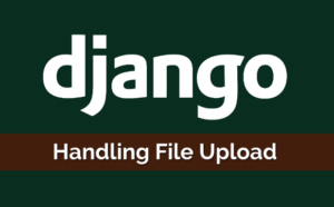 Read more about the article Implementing File Uploads in Django