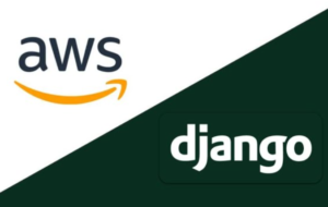 Read more about the article Django and AWS: Deploying Django Applications on AWS